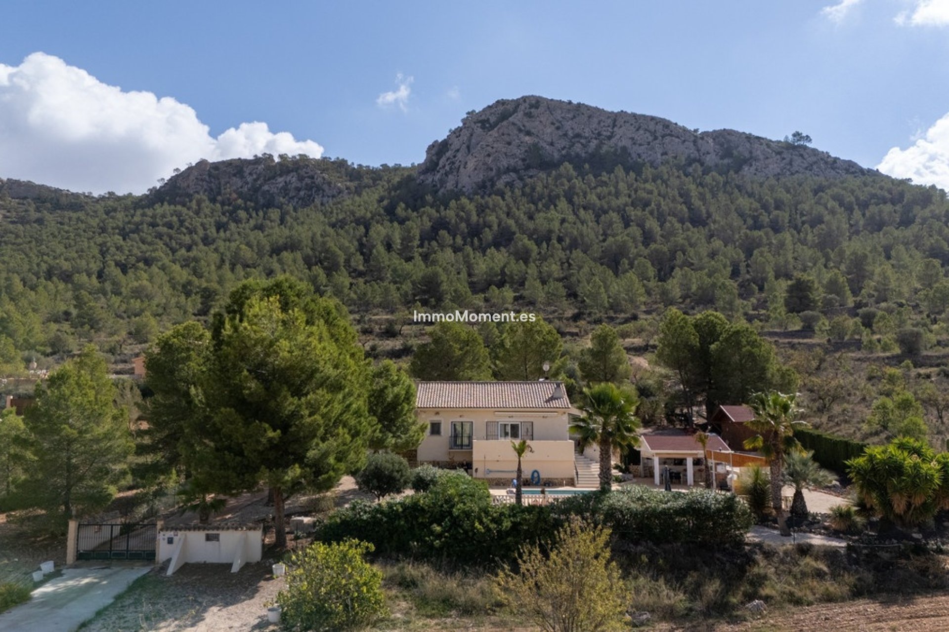 Bestaande woning - Vrijstaande villa - Jumilla - La Zarza