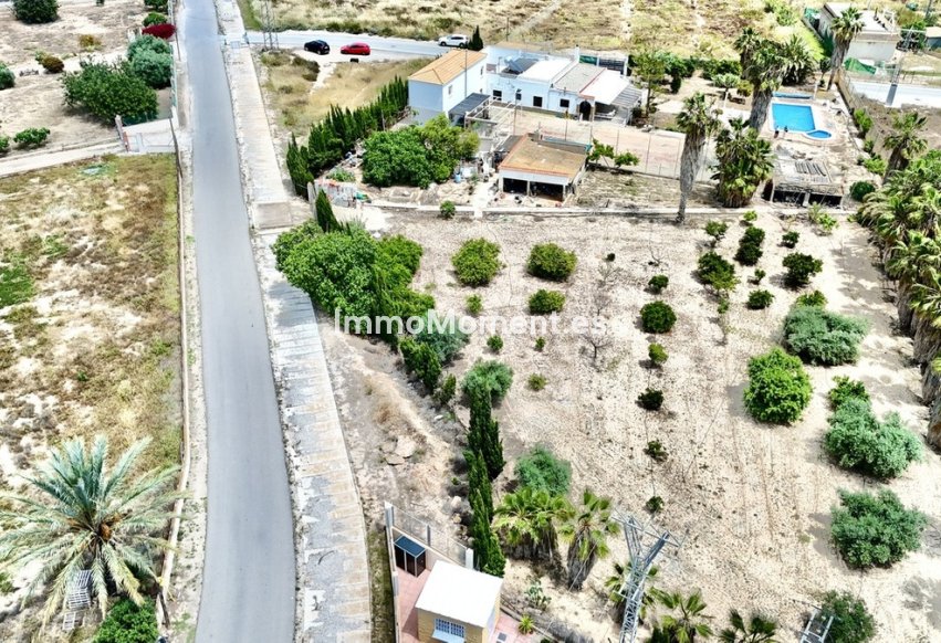 Bestaande woning - Vrijstaande villa - Los Montesinos - Los Montesinos Centro