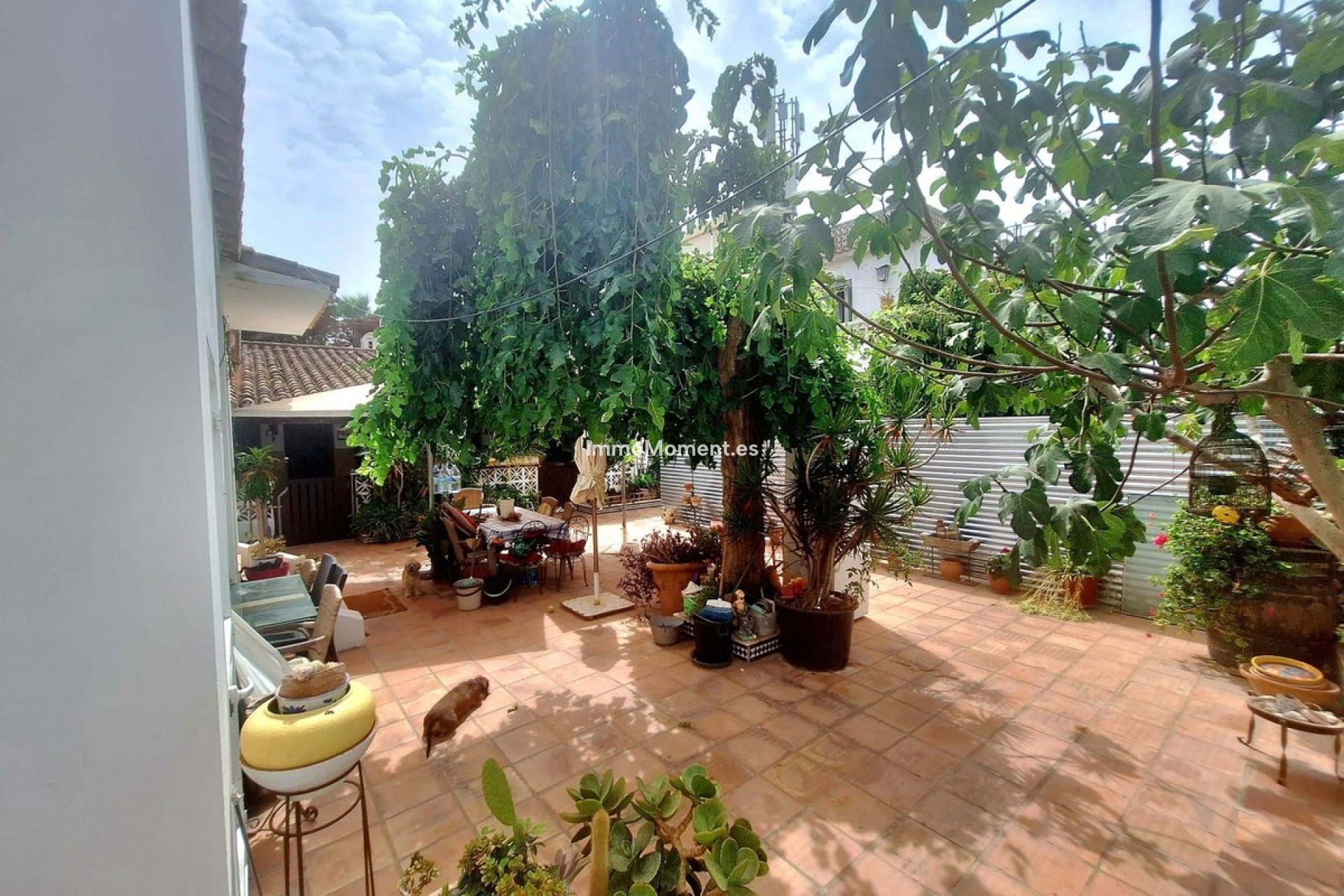 Bestaande woning - Vrijstaande villa - Marbella - Costabella