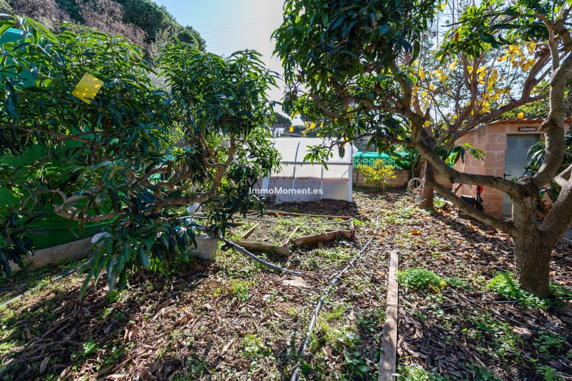 Bestaande woning - Vrijstaande villa - Marbella - Las Chapas