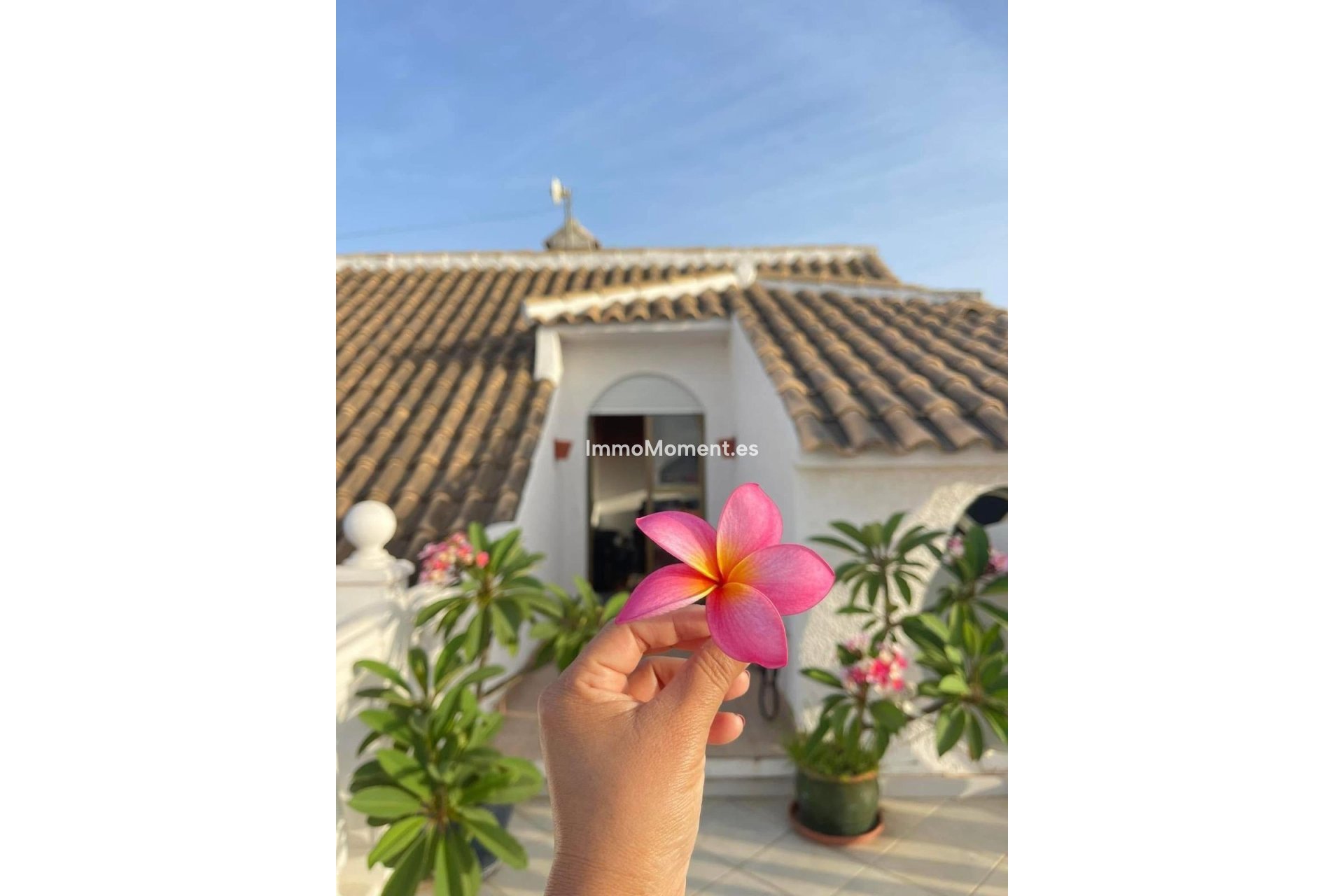 Bestaande woning - Vrijstaande villa - Mijas Costa - El Faro