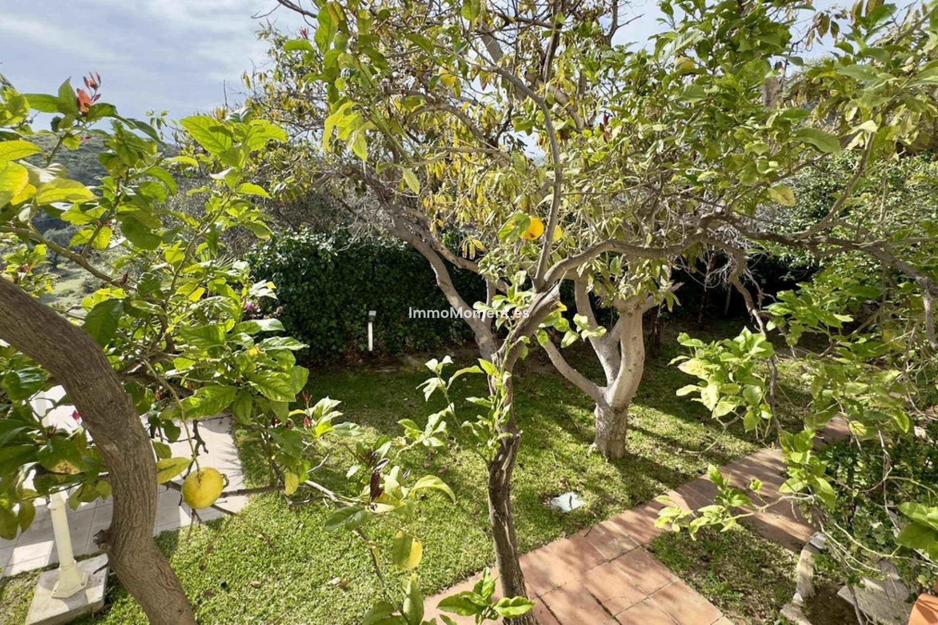 Bestaande woning - Vrijstaande villa - Mijas - Mijas Centro