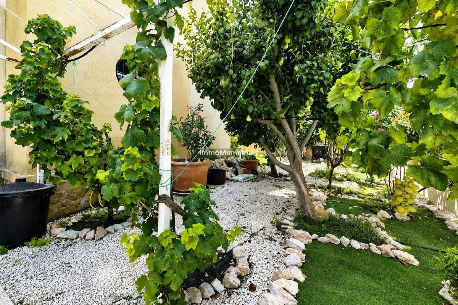 Bestaande woning - Vrijstaande villa - Orihuela - Cabo roig - La Zenia