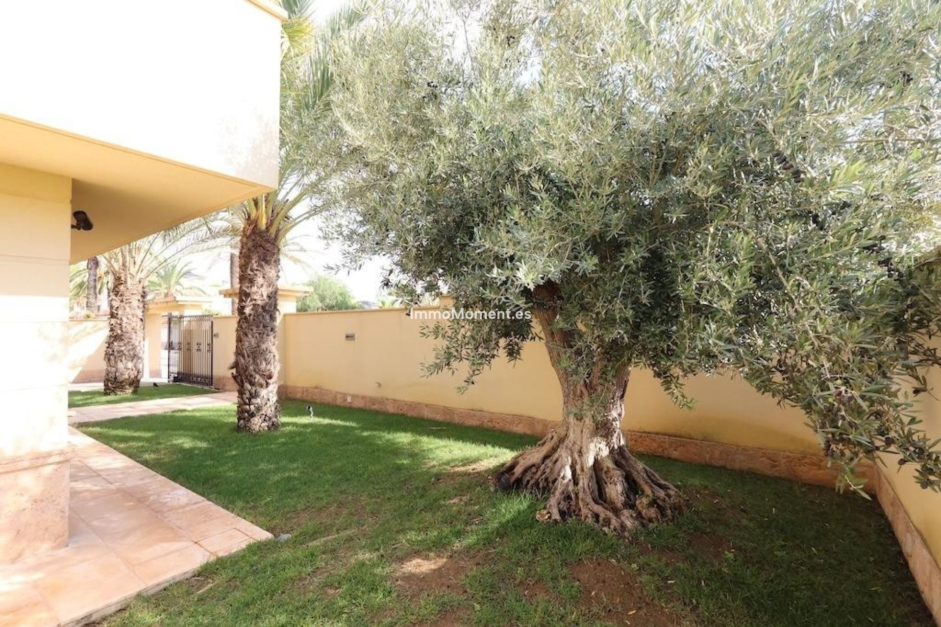 Bestaande woning - Vrijstaande villa - Orihuela Costa - Cabo roig - La Zenia