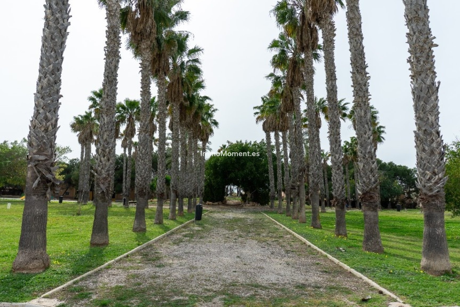 Bestaande woning - Vrijstaande villa - Orihuela - Los Altos