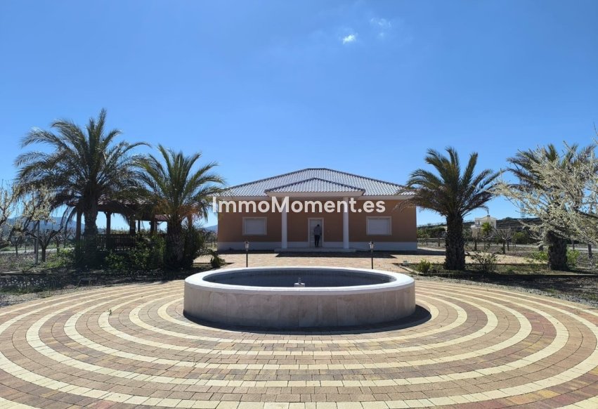 Bestaande woning - Vrijstaande villa - Pinoso - Pinoso Centro