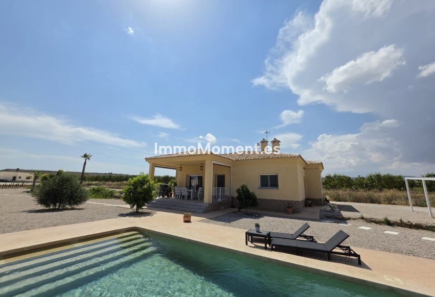Bestaande woning - Vrijstaande villa - Pinoso - Pinoso Centro