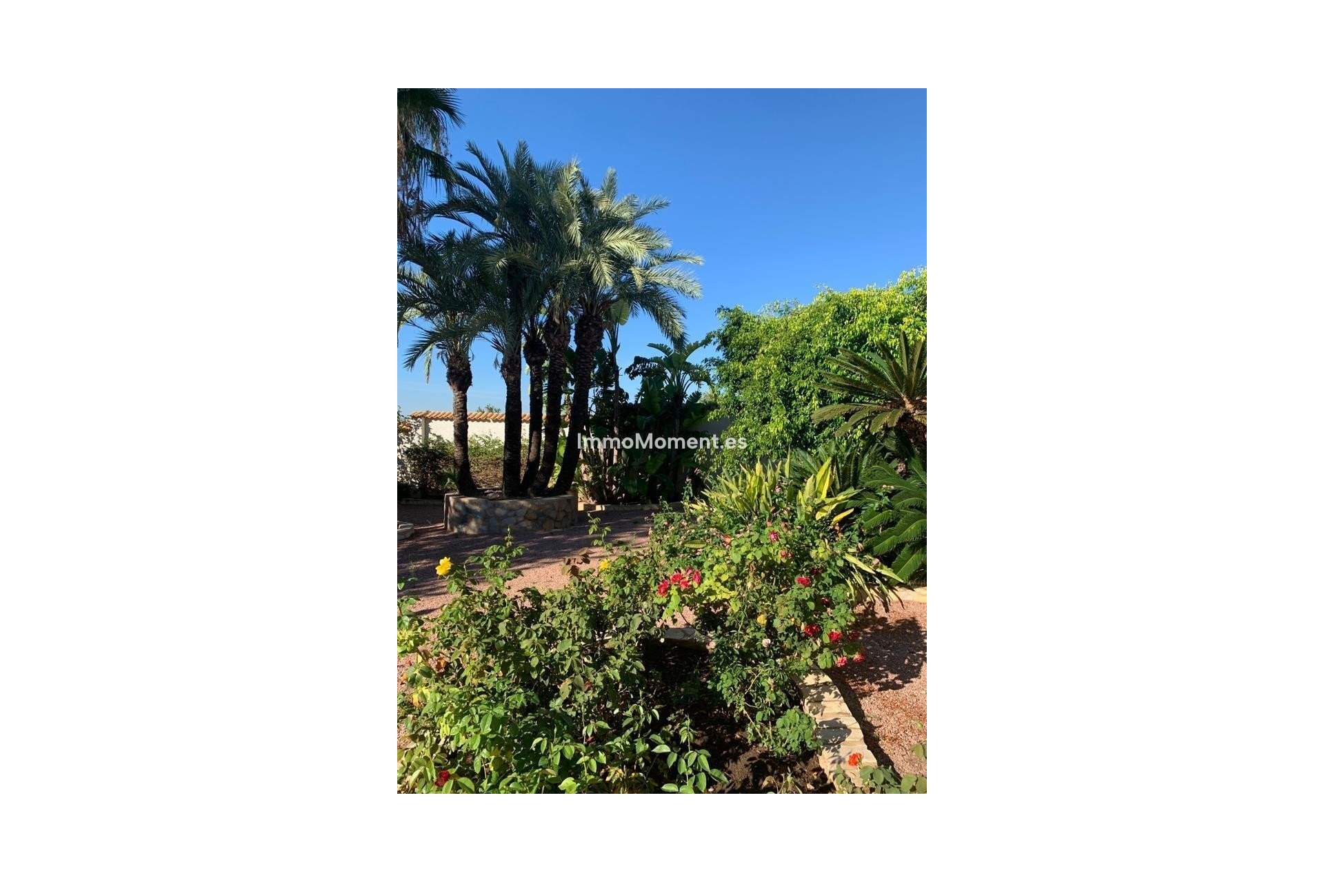 Bestaande woning - Vrijstaande villa - Rojales - Ciudad Quesada