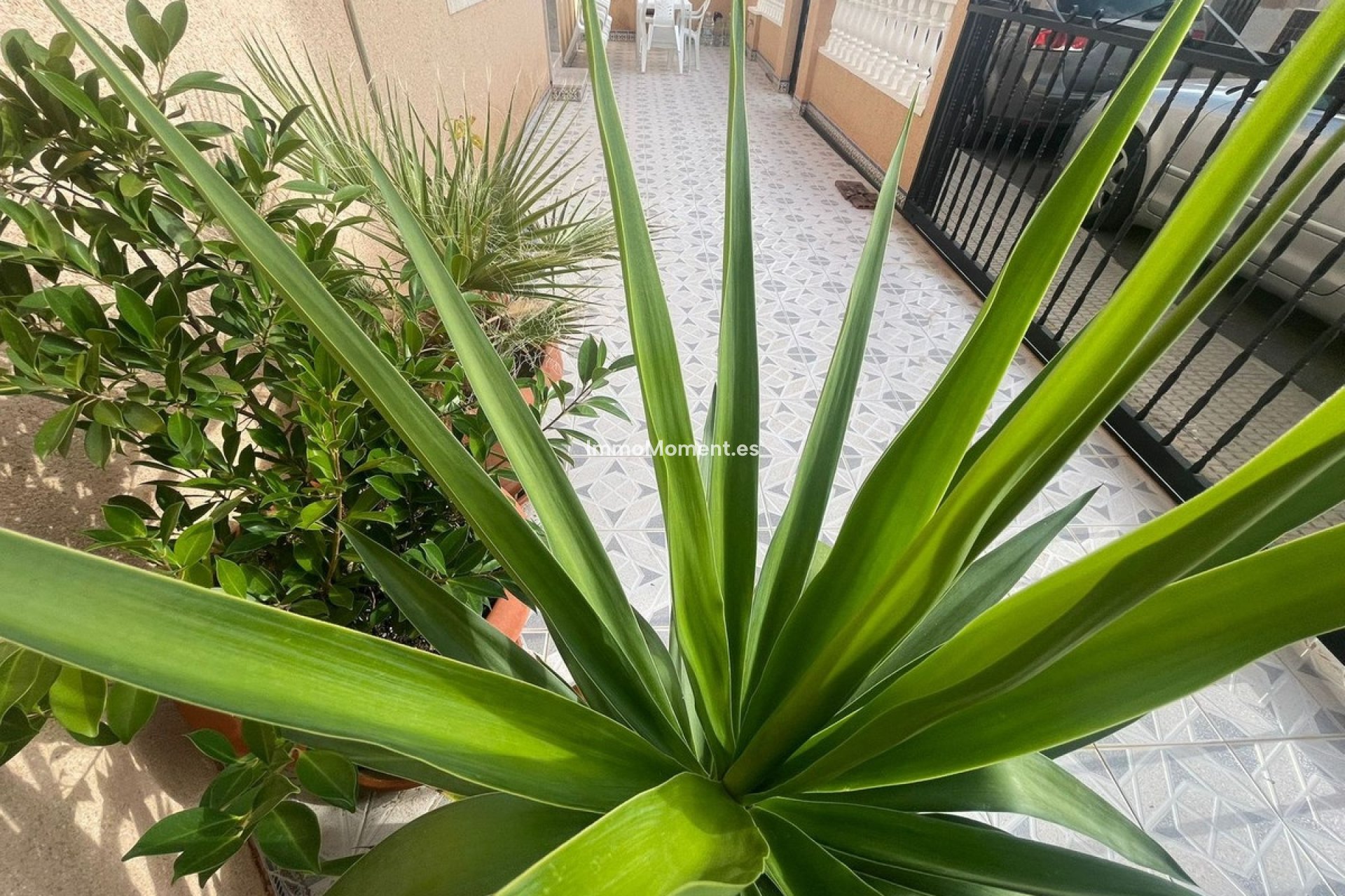 Bestaande woning - Vrijstaande villa - San Pedro del Pinatar - Lo Pagan