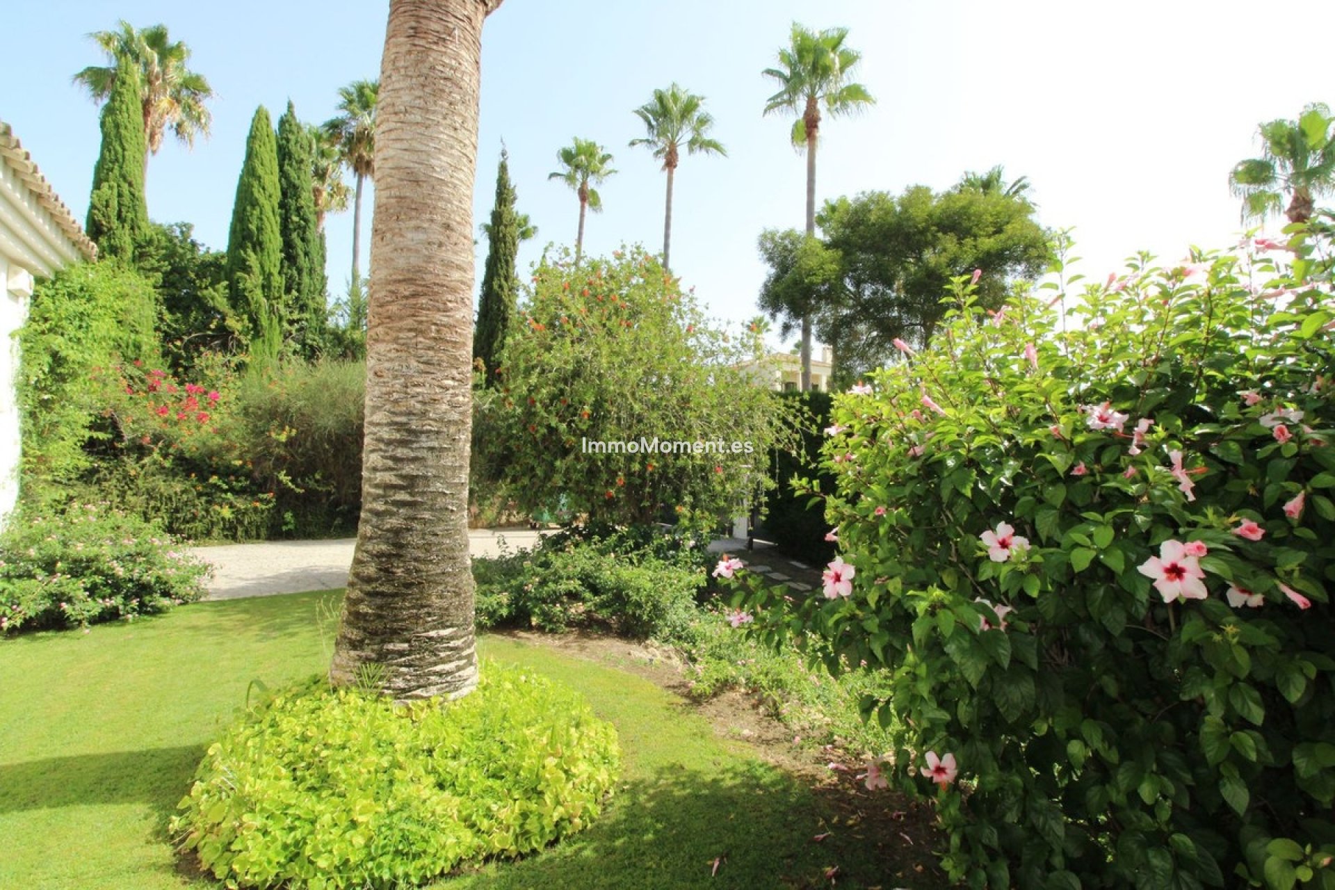 Bestaande woning - Vrijstaande villa - Sotogrande - Sotogrande Alto