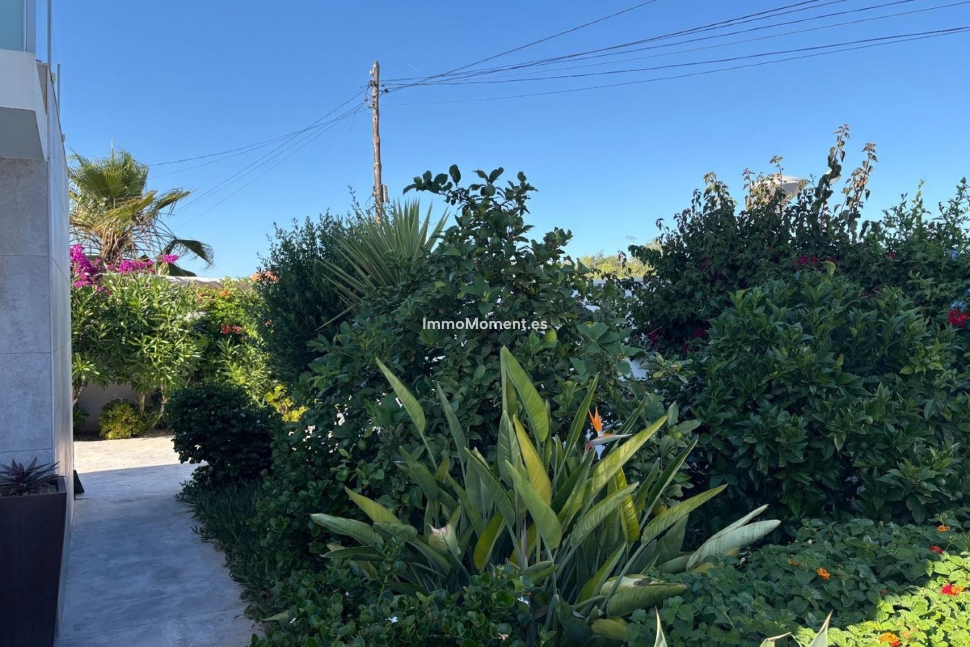 Bestaande woning - Vrijstaande villa - Torrevieja - La Siesta