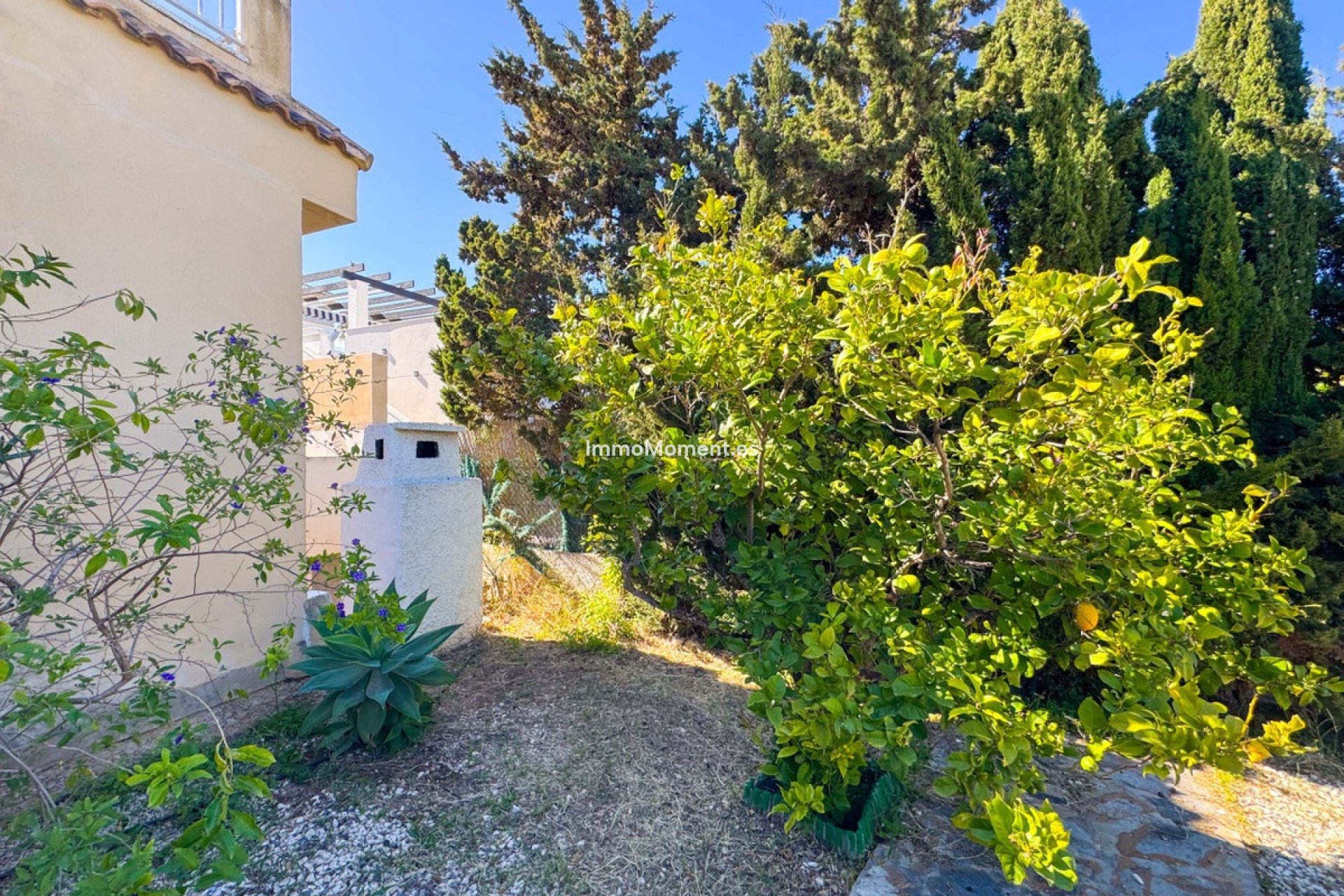 Bestaande woning - Vrijstaande villa - Torrevieja - Torre la mata
