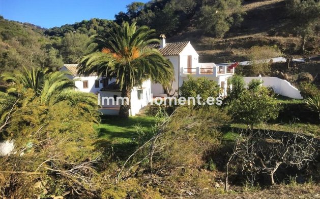 Casa de campo - Reventa - Casares - Casares Centro