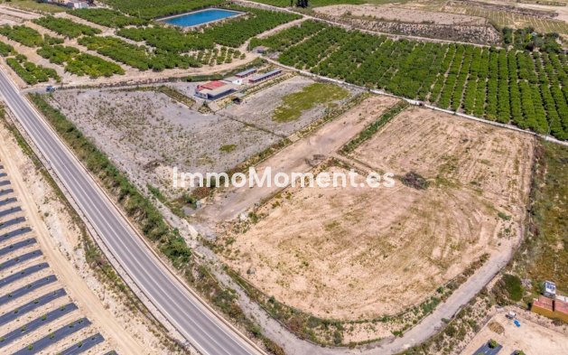 Casa de campo - Reventa - Los Montesinos - RSO-54851