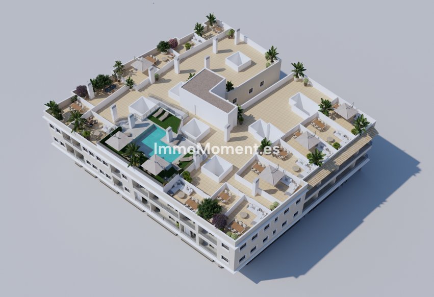 Construction neuve - Appartement - Algorfa