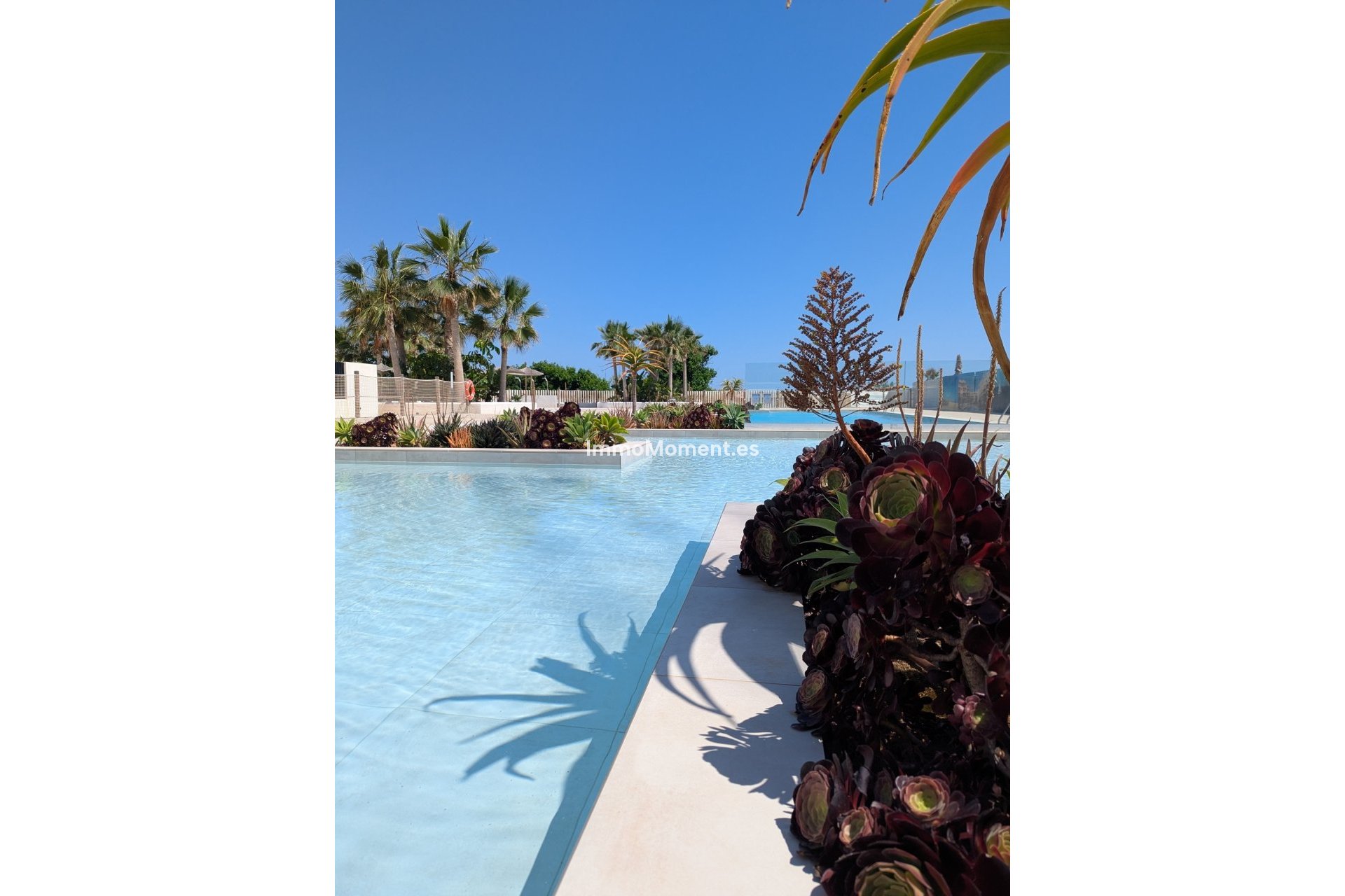 Construction neuve - Appartement - Denia