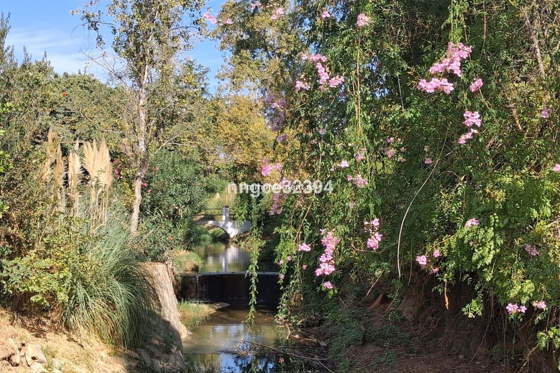 Construction neuve - Appartement - Estepona  - New Golden Mile