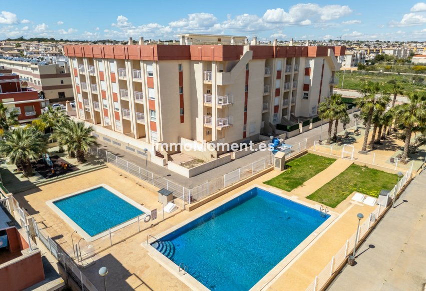 Construction neuve - Appartement - Orihuela Costa