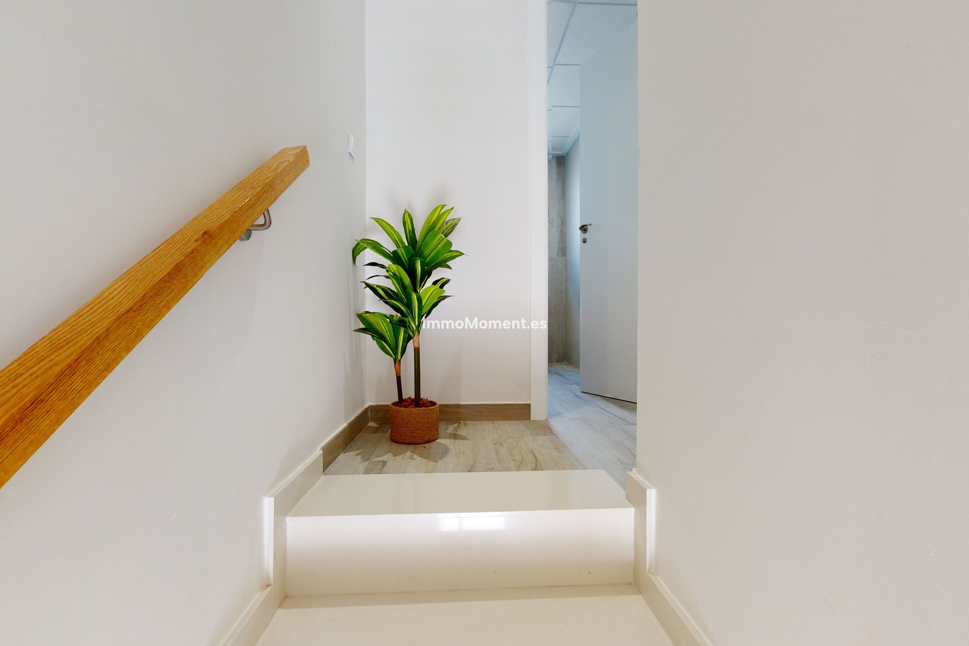 Construction neuve - Appartement - Pilar de la Horadada