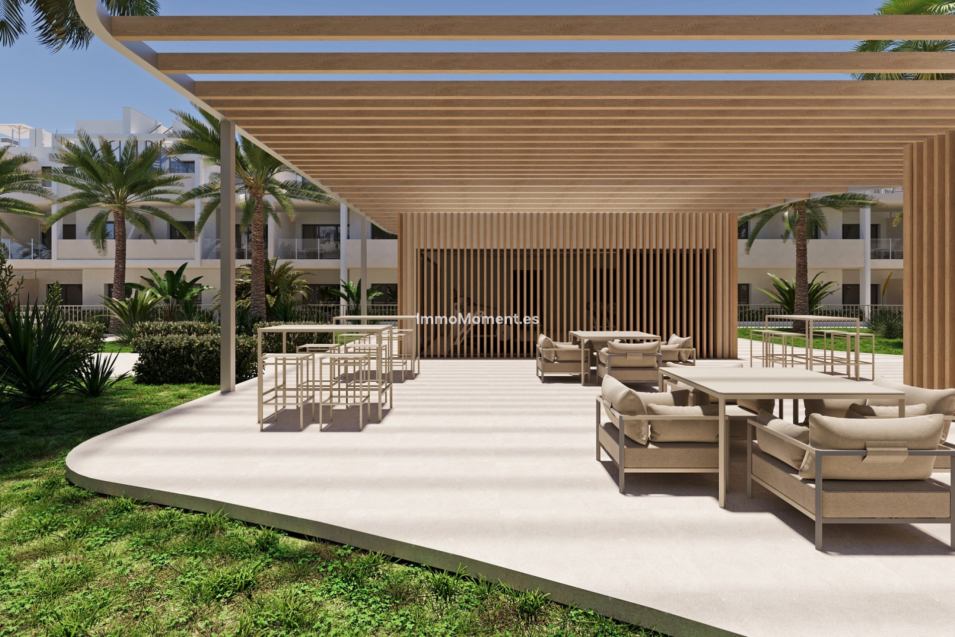 Construction neuve - Appartement - San Cayetano