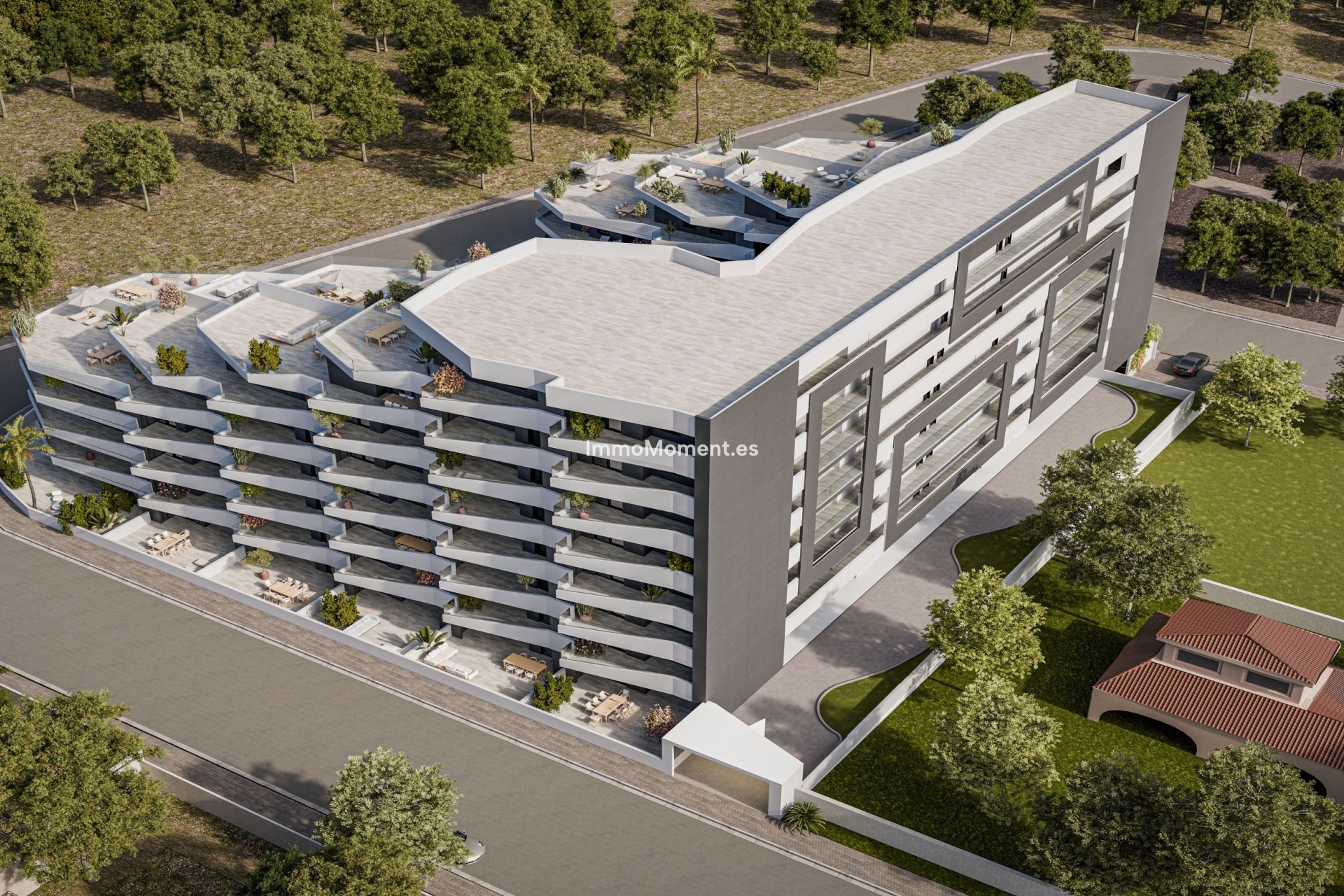 Construction neuve - Appartement - San Miguel de Salinas