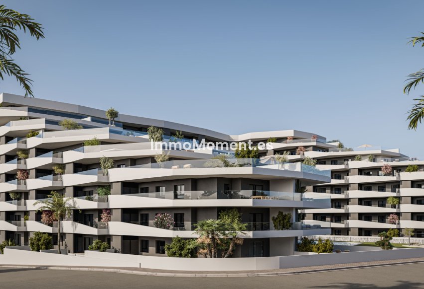 Construction neuve - Appartement - San Miguel de Salinas