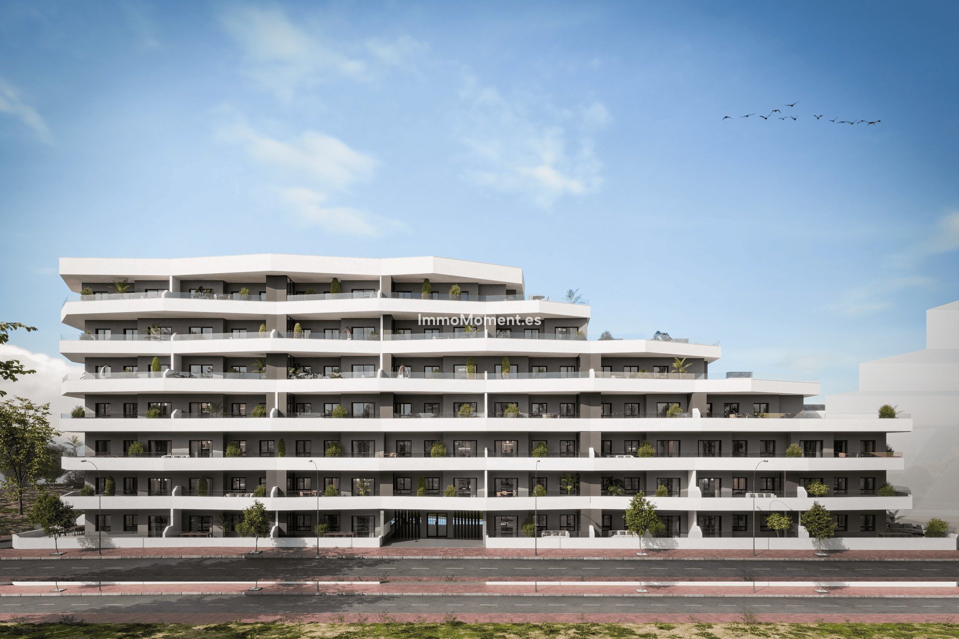 Construction neuve - Appartement - San Miguel de Salinas