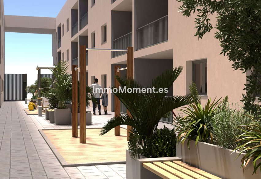 Construction neuve - Appartement - San Miguel de Salinas
