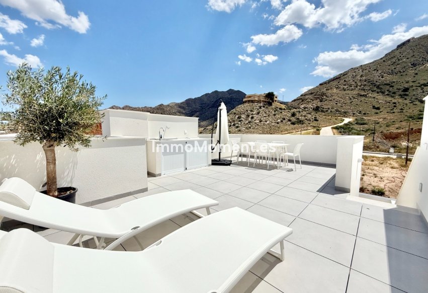 Construction neuve - Low-bungalow - Cox