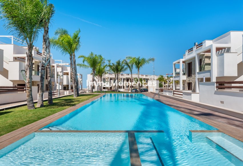 Construction neuve - Low-bungalow - Torrevieja