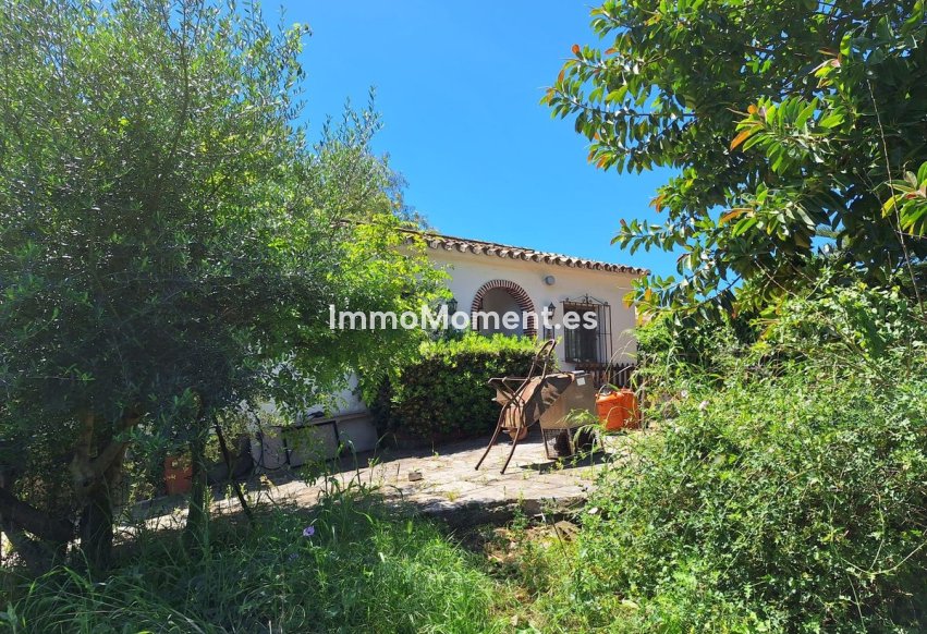 Construction neuve - Maison de campagne - Estepona  - Estepona Centro