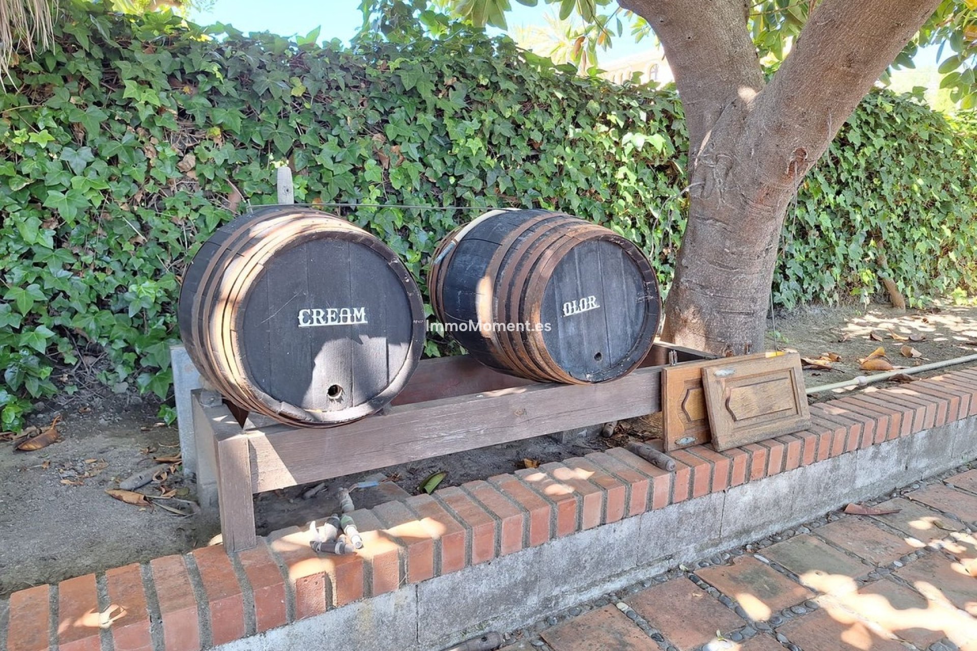 Construction neuve - Maison de campagne - Estepona  - Estepona Centro