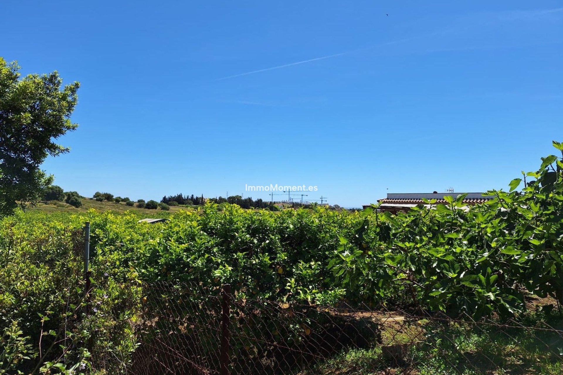 Construction neuve - Maison de campagne - Estepona  - Estepona Centro