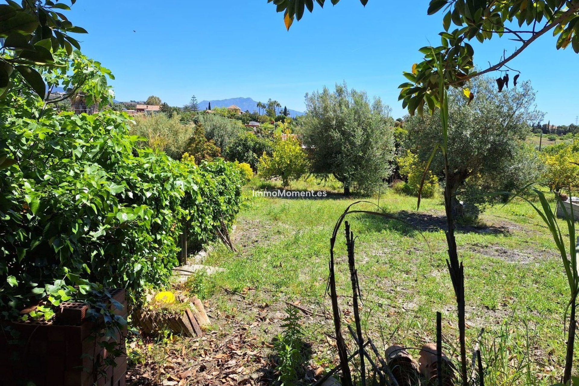 Construction neuve - Maison de campagne - Estepona  - Estepona Centro