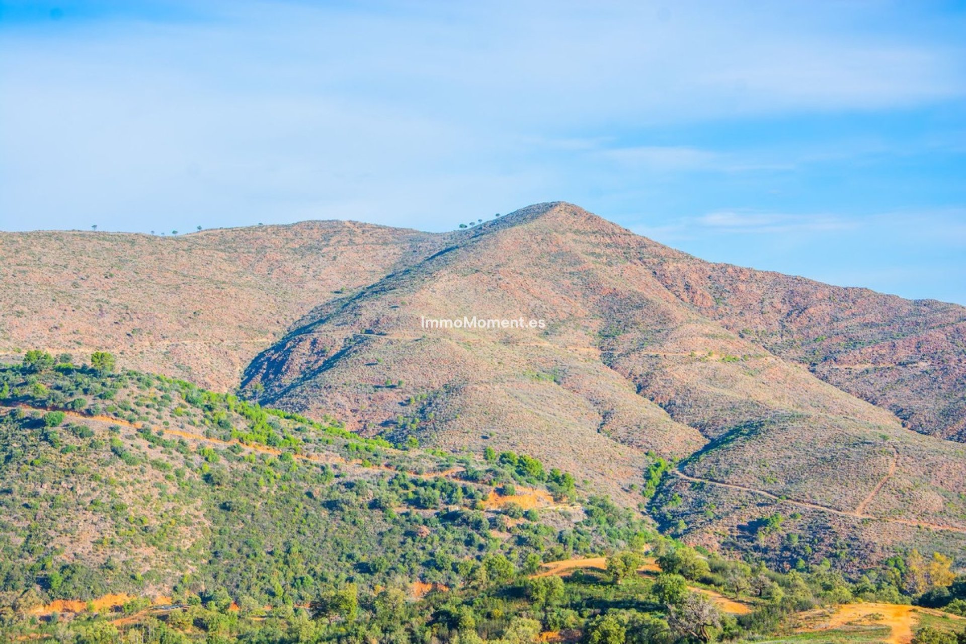 Construction neuve - Maison de campagne - Marbella - La Mairena