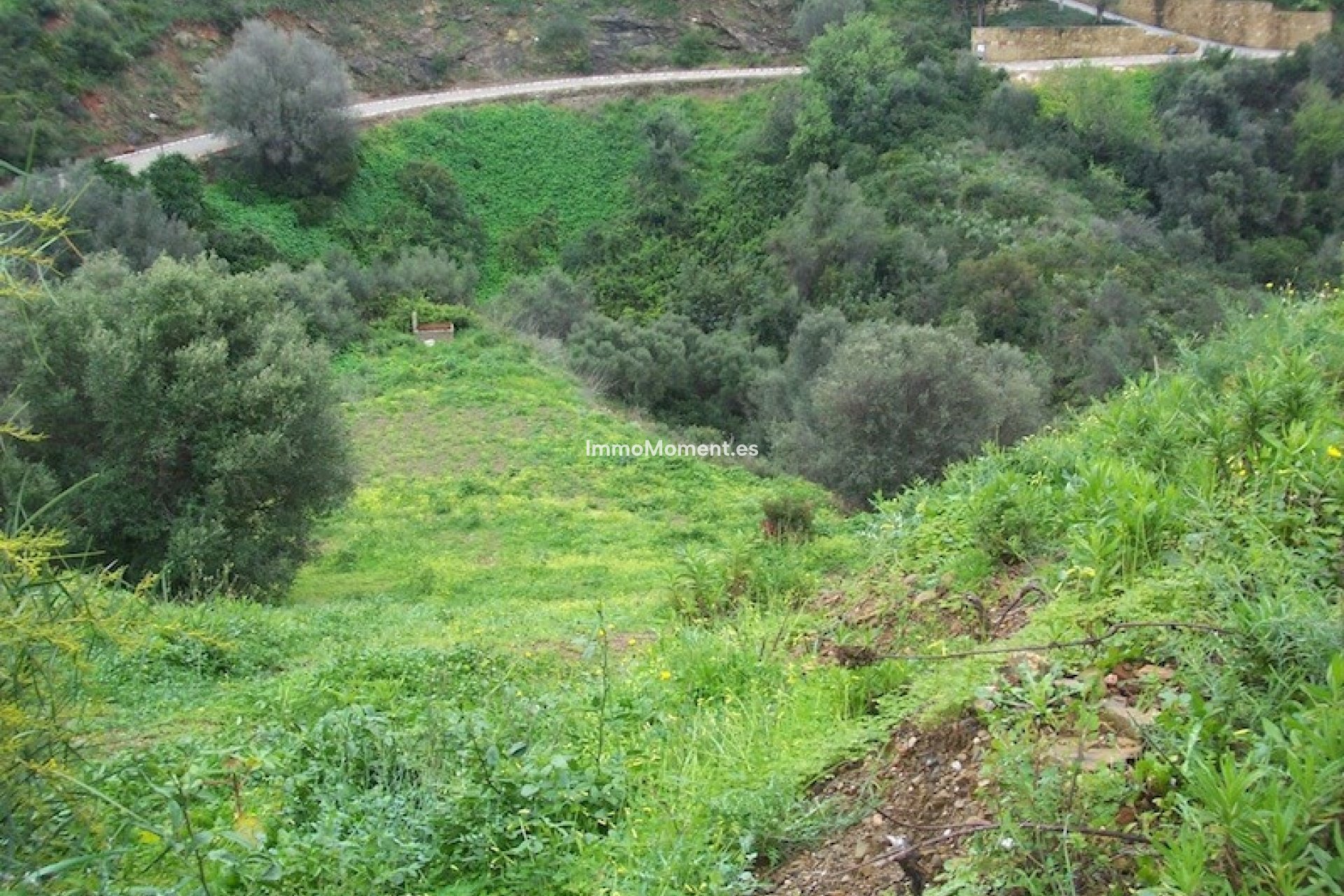 Construction neuve - Parcelle - Marbella - El Rosario