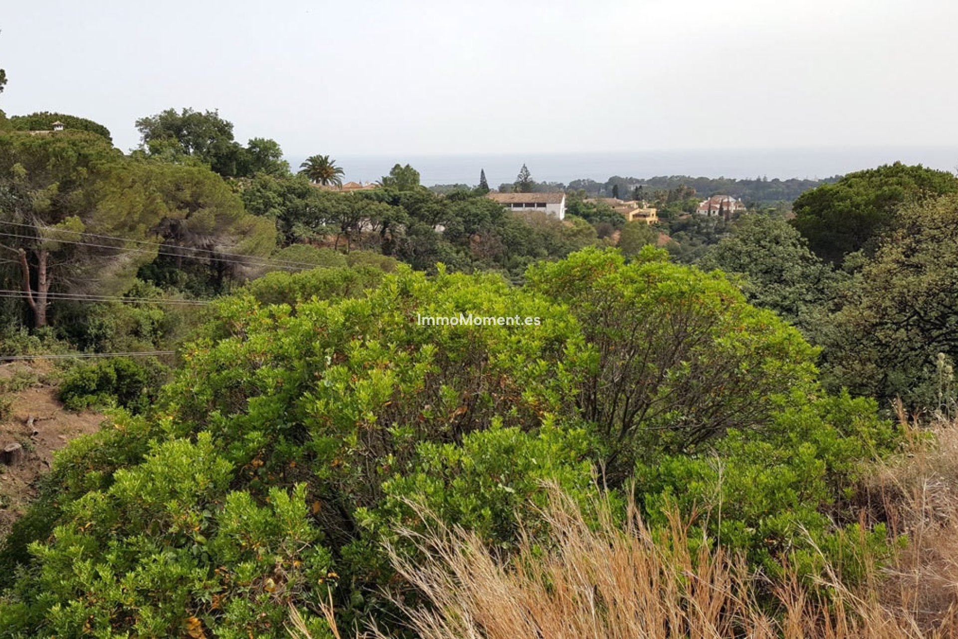Construction neuve - Parcelle - Marbella - Elviria