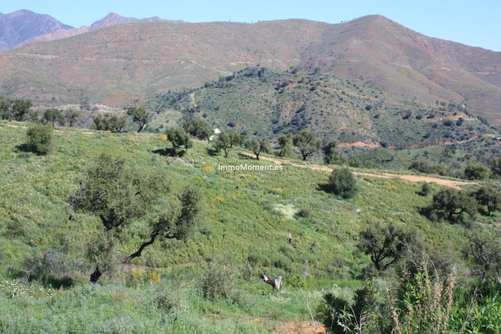 Construction neuve - Parcelle - Marbella - La Mairena
