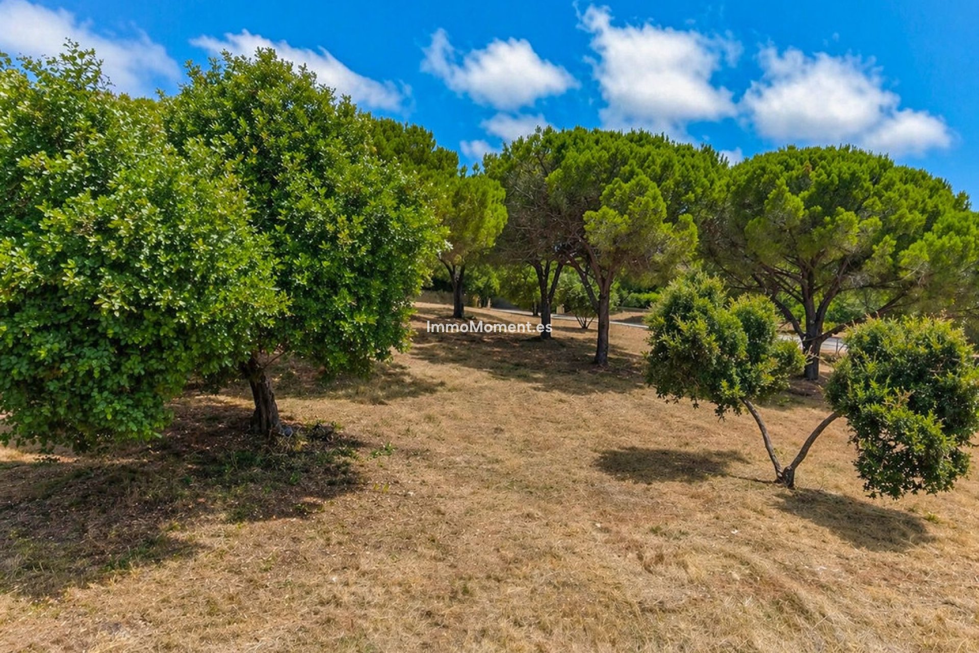 Construction neuve - Parcelle - Sotogrande - Sotogrande Alto