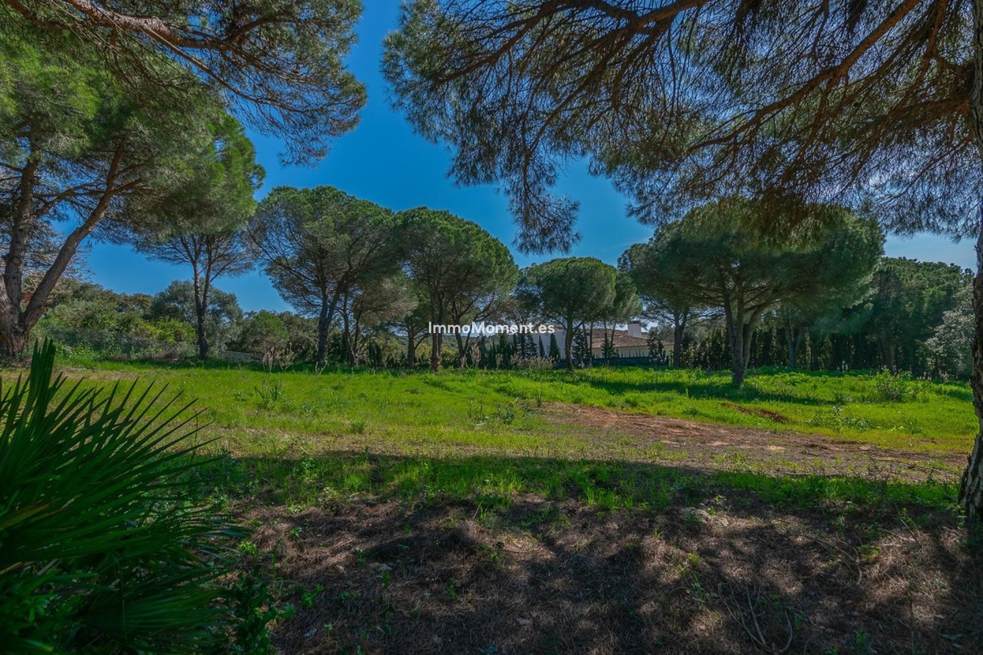 Construction neuve - Parcelle - Sotogrande - Sotogrande Alto