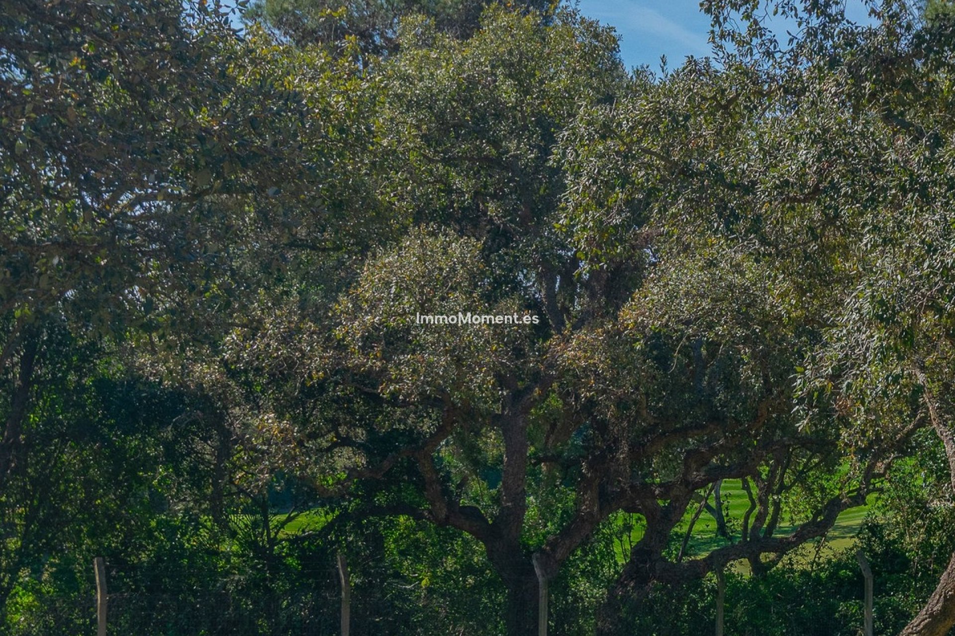 Construction neuve - Parcelle - Sotogrande - Sotogrande Alto