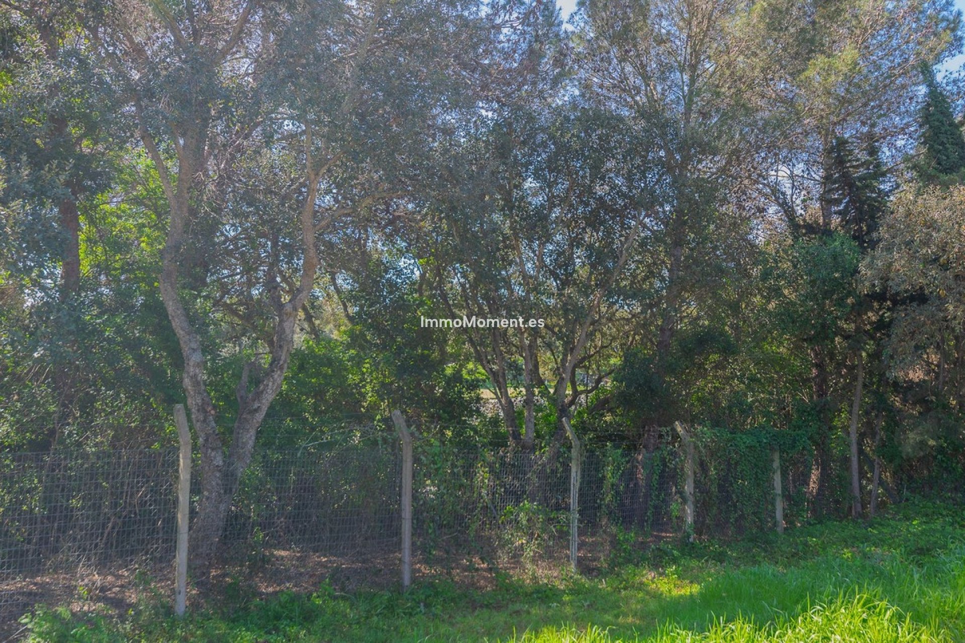 Construction neuve - Parcelle - Sotogrande - Sotogrande Alto