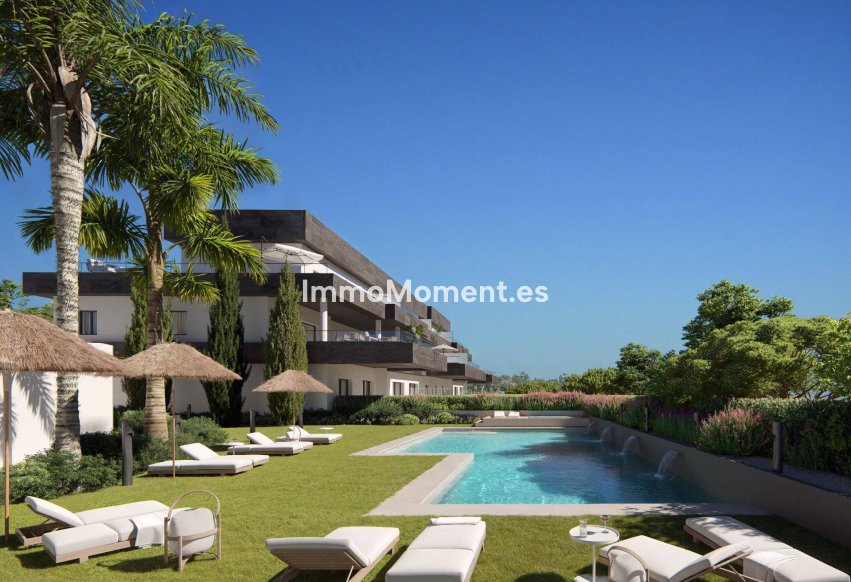 Construction neuve - Penthouse - Casares - Casares Playa