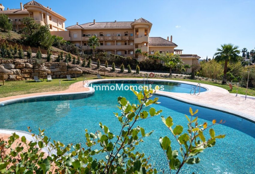 Construction neuve - Penthouse - Marbella