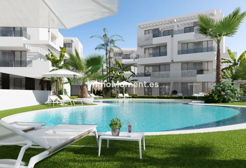 Construction neuve - Penthouse - Santa Rosalía