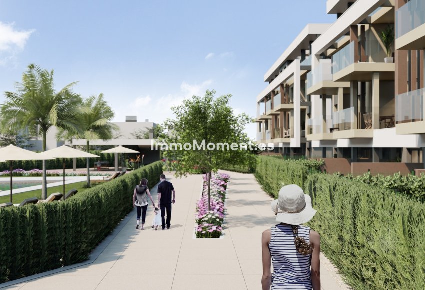 Construction neuve - Penthouse - Santa Rosalía