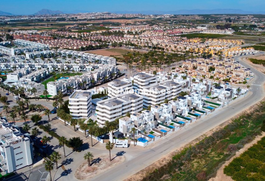 Construction neuve - Terraced - Guardamar del Segura