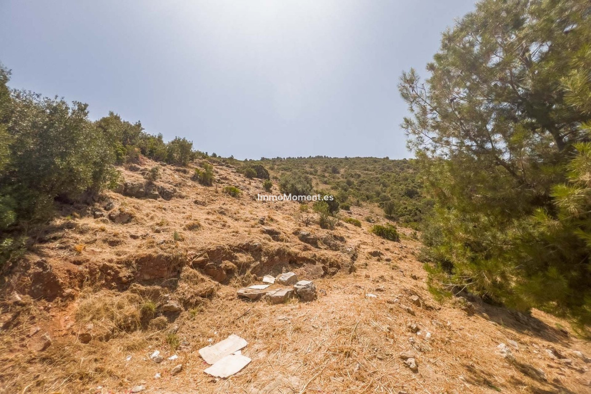 Construction neuve - Terrain - Intérieur                       - Alhaurín de la Torre