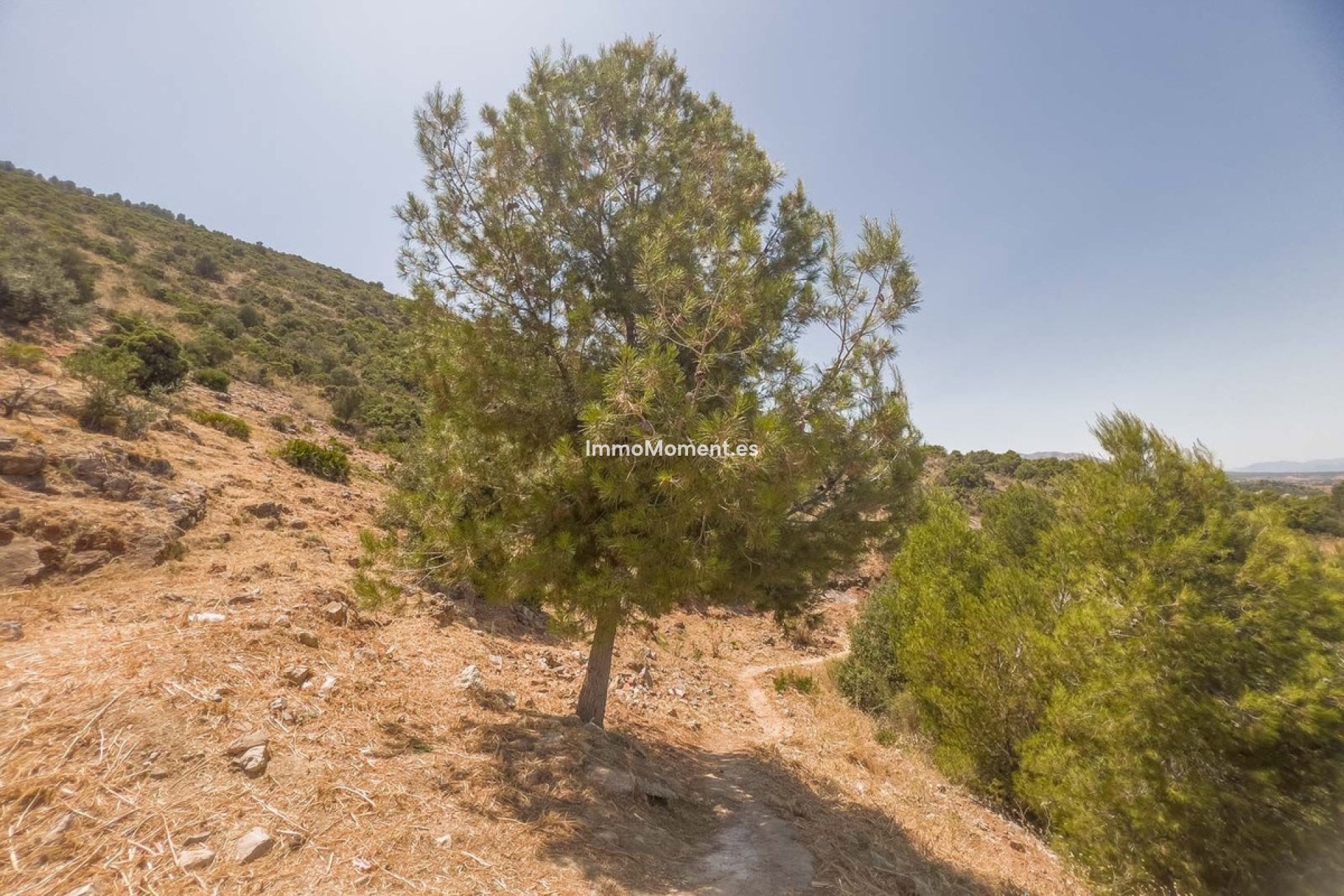 Construction neuve - Terrain - Intérieur                       - Alhaurín de la Torre