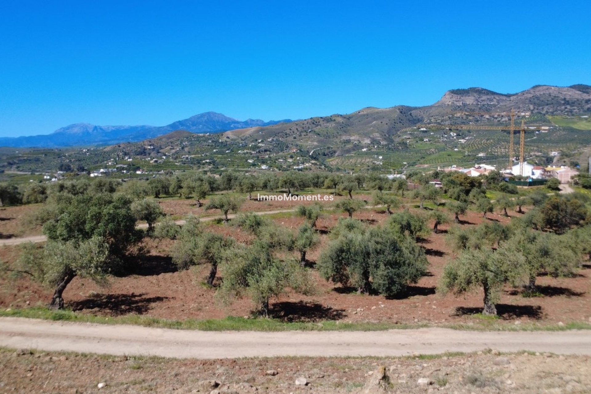 Construction neuve - Terrain - Intérieur                       - Alora